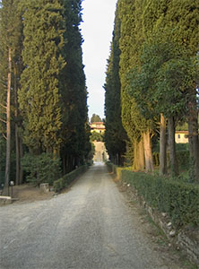 Giardino di Villa Schifanoia, Fiesole.