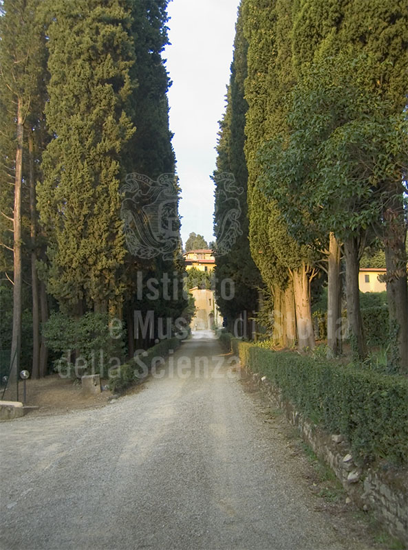 Garden of Villa Schifanoia, Fiesole.