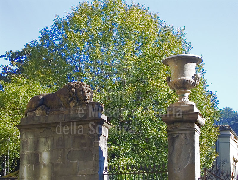 Lion at the entrance of the Boboli Garden, Florence.