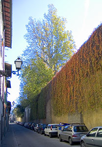Side-wall of the Torrigiani Garden on Via del Campuccio, Florence.