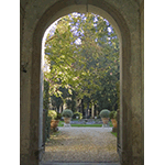 Giardino di Palazzo Feroni, in Piazza del Carmine, Firenze.