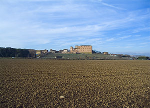 La Grancia di Cuna e la campagna circostante, Monteroni d'Arbia.