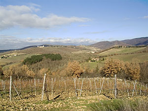 Panorama delle colline del Chianti dal Castello di Meleto, Gaiole in Chianti.