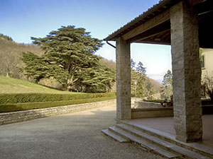 Il portico dell'Abbazia di Coltibuono e il cedro monumentale adiacente, Gaiole in Chianti.