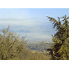Panorama delle colline del Chianti da Coltibuono.