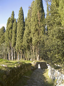 Un vialetto nel Bosco Inglese del Castello di Brolio, Gaiole in Chianti.