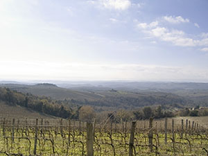Panorama of the Sienese hills from Brolio Castle, Gaiole in Chianti.