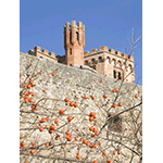 Il Castello di Brolio, Gaiole in Chianti.