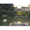 The pond in the Garden of Villa Chigi Saracini, Castelnuovo Berardenga.