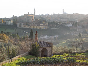View of Siena from the Convent of the Osservanza, Siena.