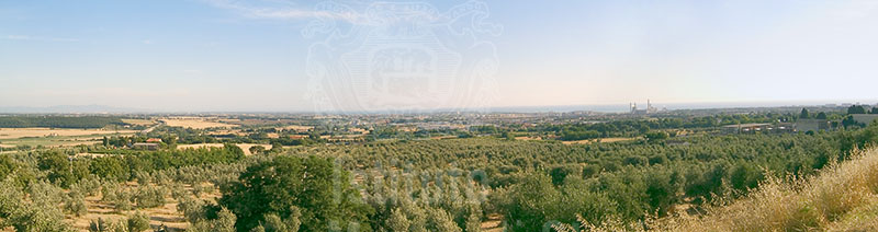 Panorama del Villaggio della Societ Solvay e della fabbrica, Rosignano Marittimo.