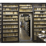 La Biblioteca del Convento dell'Osservanza, Siena.