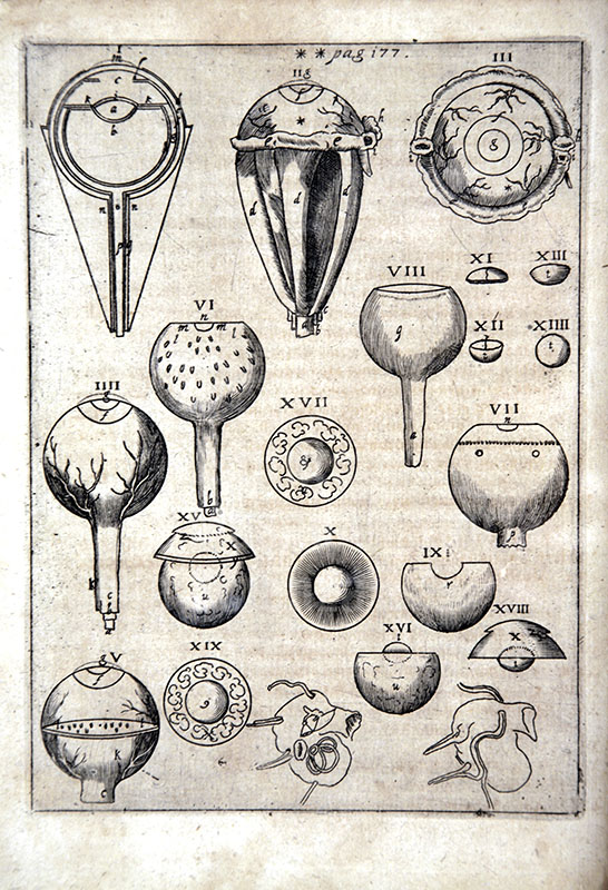 JOHANN KEPLER, Ad Vitellionem paralipomena ..., Frankfurt, 1604